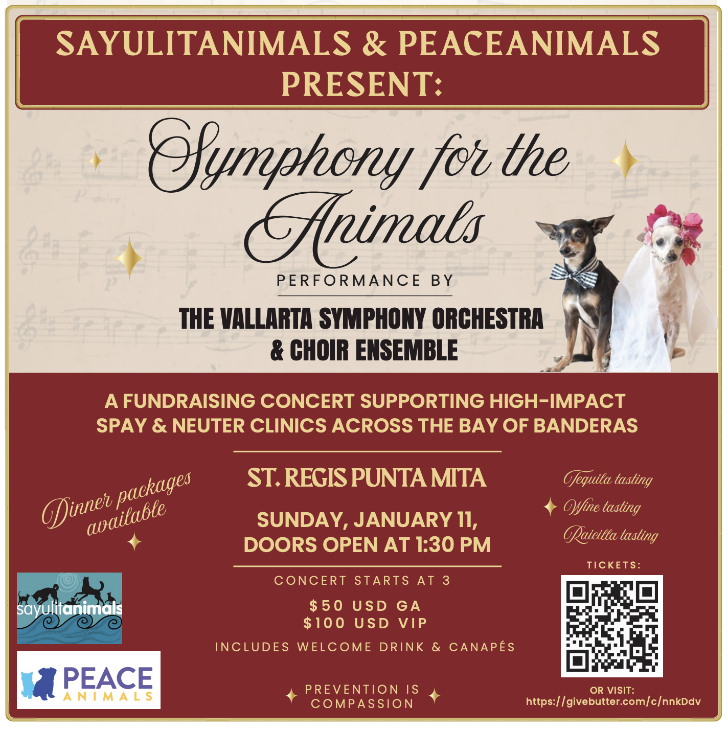 🎶 Symphony for the Animals: A Concert Benefiting Sayulita’s Longest-Running Animal Welfare Program